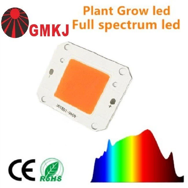 cob led module